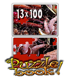 Puzzle Book