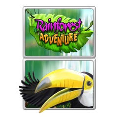 Rainforest Adventure