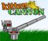 Click here & Play to Kitten Cannon the online game !