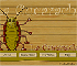 Click here & Play to La Cucaracha the online game !