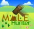 Click here & Play to Mole Hunter the online game !