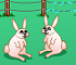 Click here & Play to Rabbit's Breeder the online game !