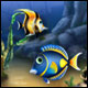 Click here & Play to Fishdom the online game !