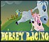 Click here & Play to Horcey Racing the online game !