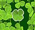 Click here & Play to Lucky Clover the online game !