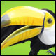 Click here & Play to Rainforest Adventure the online game !