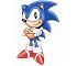 Click here & Play to Sonic The Hedgehog the online game !
